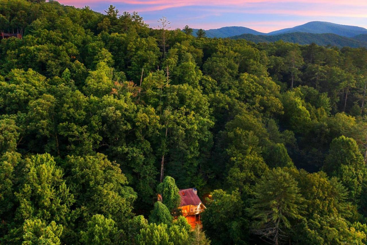 Cozy Cabin Retreat - Hot Tub, Fireplace&Fire Pit Blue Ridge Exterior foto